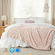 Dentdale Checkered Fleece Throw Blanket Soft Four Sizes