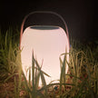 Craster Solar Floor Lantern White Wood Grain Portable LED