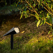 Beverley Solar Spike Spotlights Set of 2 Adjustable IP65
