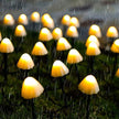 Grassington Solar Mushroom String Lights 5 m Garden