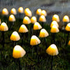 Grassington Solar Mushroom String Lights 5 m Garden