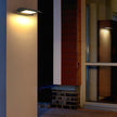 Salcombe Square Outdoor Down Light LED Wall Light