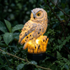 Close detail of the Wynn solar owl light among foliage