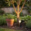 Pickering Solar Tree Spotlight Adjustable Head RGB Option