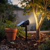Pickering Solar Tree Spotlight Adjustable Head RGB Option
