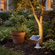 Pickering Solar Tree Spotlight Adjustable Head RGB Option