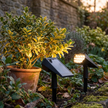 Beverley Solar Spike Spotlights Set of 2 Adjustable IP65