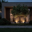 Pickering Solar Tree Spotlight Adjustable Head RGB Option