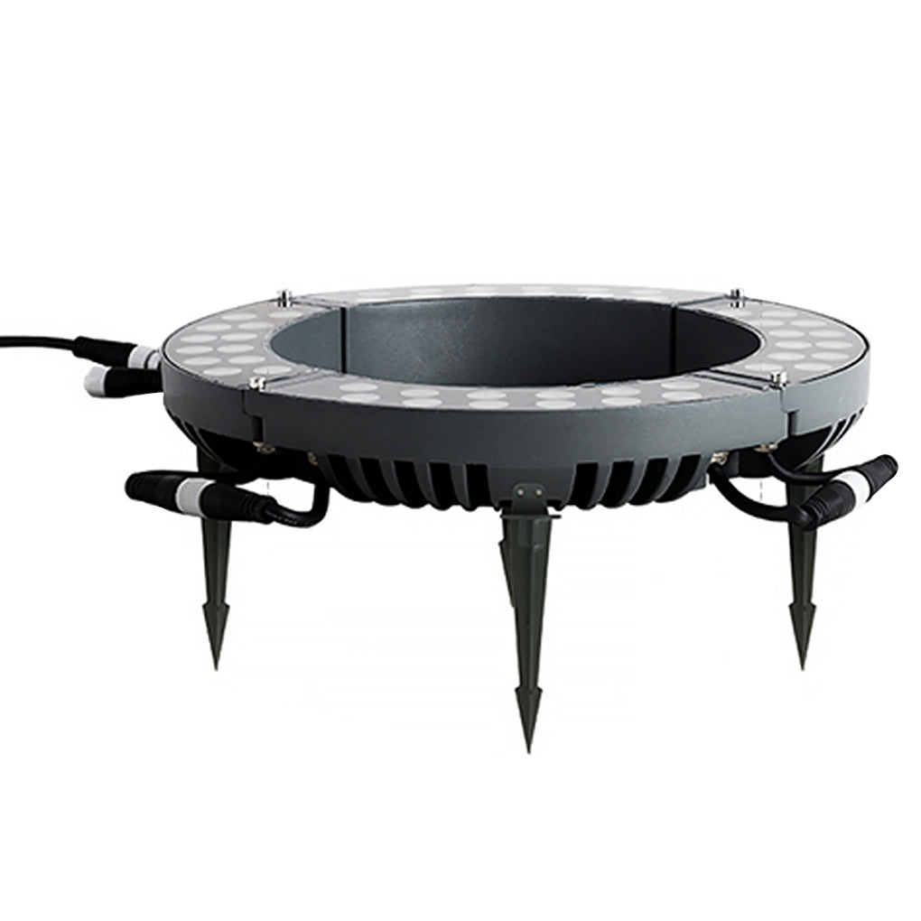 Minster Tree Ring Light LED Tree Uplighter Ring