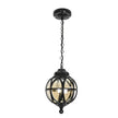 Tanfield Metal Orb Outdoor Pendant Light Globe Chain