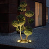 Minster Tree Ring Light LED Tree Uplighter Ring