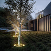 Minster Tree Ring Light LED Tree Uplighter Ring