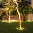 Minster Tree Ring Light LED Tree Uplighter Ring