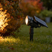 Pickering Solar Tree Spotlight Adjustable Head RGB Option