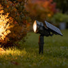 Pickering Solar Tree Spotlight Adjustable Head RGB Option