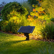 Pickering Solar Tree Spotlight Adjustable Head RGB Option