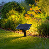 Pickering Solar Tree Spotlight Adjustable Head RGB Option