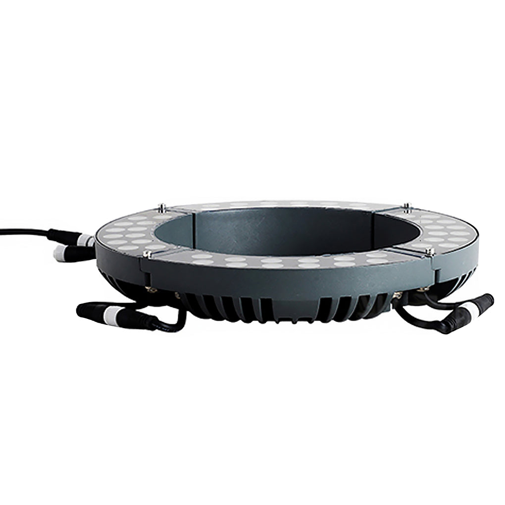 Minster Tree Ring Light LED Tree Uplighter Ring