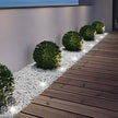 Clovelly Solar Recessed Ground Light LED In Ground Light
