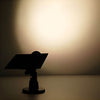 Pickering Solar Tree Spotlight Adjustable Head RGB Option