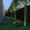 Pickering Solar Tree Spotlight Adjustable Head RGB Option