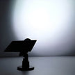 Pickering Solar Tree Spotlight Adjustable Head RGB Option
